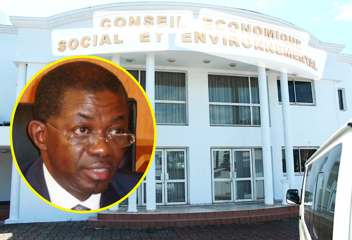 Négligence Démasquée : Le CESE Métamorphosé par Séraphin Moundounga