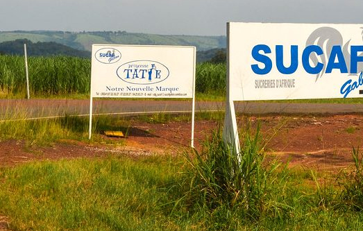 Métamorphose économique : SUCAF Gabon se transmute en les sucreries du Gabon s.a.