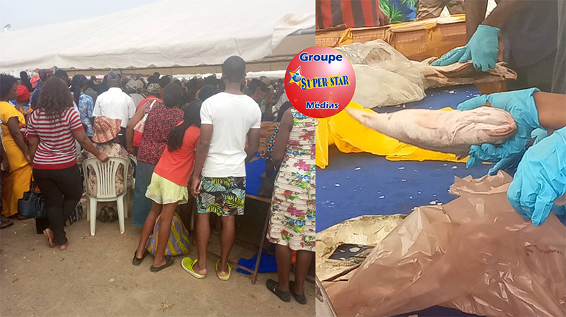 Libreville en liesse : la foire au poisson attire des foules record