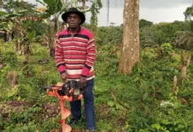 Clément Ndong Mba tenu à l’écart : ses idées menacent-elles l’ordre établi autour d’Oligui Nguema ?