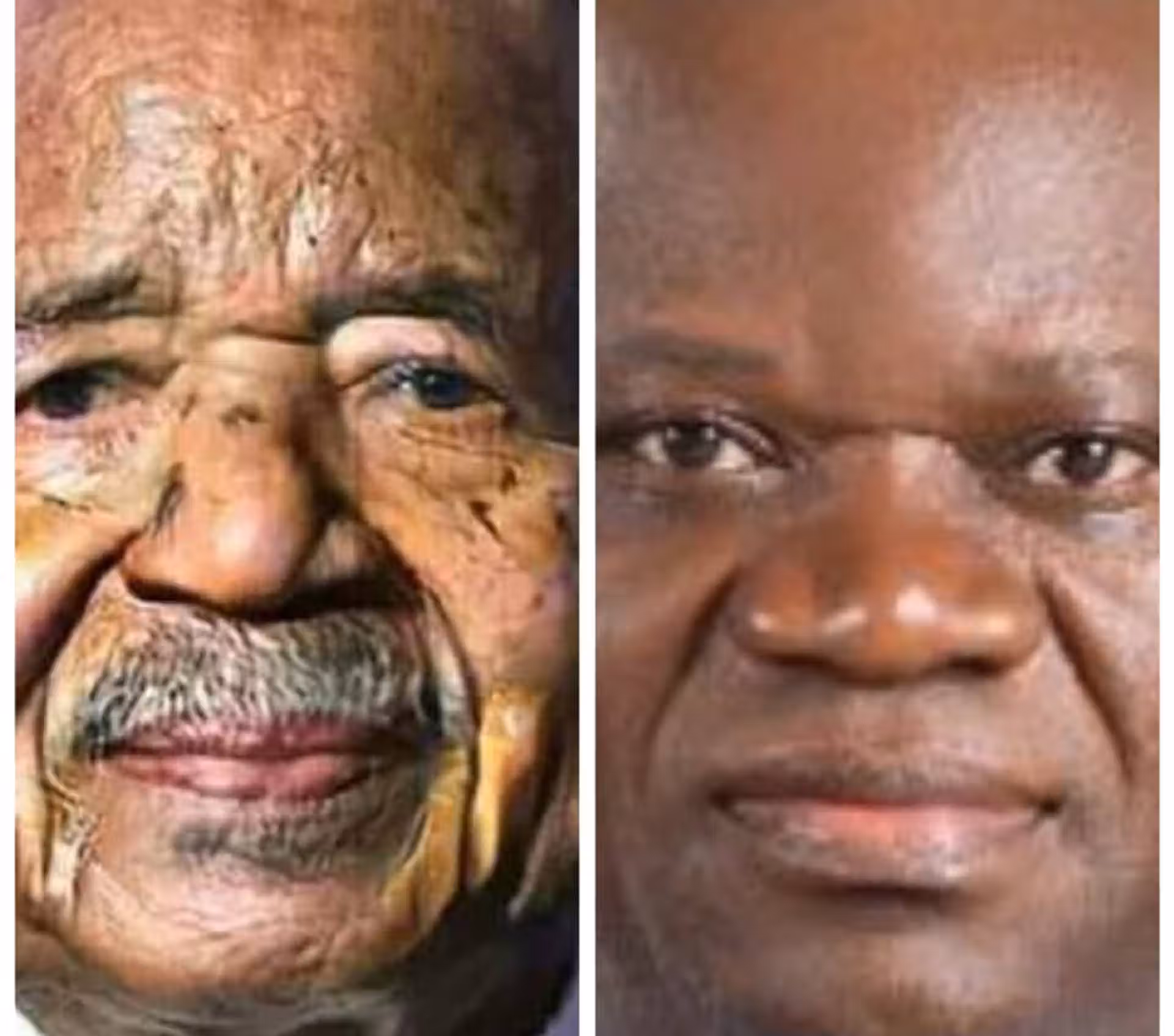 Biya 8ᵉ candidature : écœurés par cette viande fatiguée, les activistes camerounais préfèrent déguster Oligui en brochette saignante