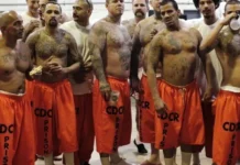 Les États-Unis annoncent avoir expulsé leurs prisonniers criminels vers l’Afrique : le continent devient dépotoir pénitentiaire US.