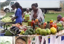 L’entrepreneuriat au Gabon : du rêve au désenchantement